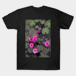 Red lily pond T-Shirt